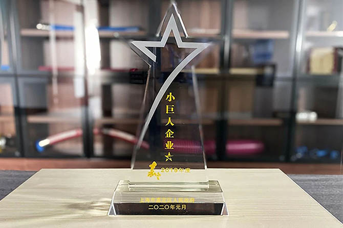 VELON WON “LITTLE GIANT ENTERPRISE”